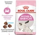 Сухий корм Royal Canin Mother and Babycat для кошенят від 1 до 4 міс. та кішок у період вагітності та лактації,1,2 кг - зображення 2