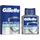 Лосьйон після гоління Gillette Series Arctic Ice Освіжаючий 100 мл (7702018620180) - зображення 1
