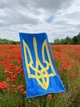 Полотенце с патриотическим дизайном 70х140 см в подарочной упаковке - изображение 7