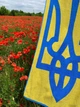 Полотенце с патриотическим дизайном 70х140 см в подарочной упаковке - изображение 8