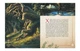 Книга Лесная песня Леся Украинка Подарочное издание - изображение 3