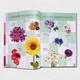 Перша книга малюка - изображение 6