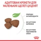Cухий корм для цуценят Royal Canin Mini Puppy 800 г - изображение 5