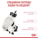 Сухий корм для кошенят Royal Canin Mother & Babycat 400 г - изображение 3