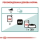 Вологий корм для літніх котів Royal Canin Instinctive Gravy 7+, 85 г (домашній птах) - зображення 8