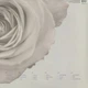 Виниловая пластинка Depeche Mode - The Best Of (Volume 1) (3LP) - изображение 6