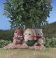 Ігровий набір Sylvanian Families Малюк Ягня (5620) - зображення 7