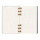 Щотижневик Moleskine 2023-2024 Spiral cередній 8056598858075 - изображение 6