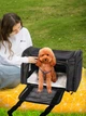 Переноска сумка для котів та собак з ілюмінатором 42x28x28 см CosmoPet CP-47 Black - зображення 10
