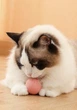 Самостоятельно вращающийся мяч для кошек и котят Pink Smart -Ball - изображение 6