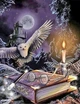 Набір алмазної мозаїки АлМазка Магічні книги Гаррі Поттера 40х50см на підрамнику АЛМр179 - зображення 1