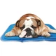 Нетоксичный охлаждающий коврик The Green Pet Shop Cool Pet Pad 50 см х 75 см для собак весом 9,5 кг - 20 кг - изображение 1