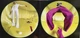 Harry Styles - Fine Line 2 LP Set 2019 (19439705141, Ltd.) Columbia/EU Mint Виниловая пластинка (art.243734) - изображение 3
