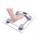Весы электронные Personal Scale 2005D для взвешивания - изображение 5
