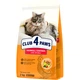 Сухой корм для кошек Club 4 Paws Premium с эффектом вывода шерсти 2 кг (4820215369428) - изображение 1