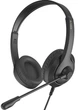 Навушники A4-Tech Fstyler FH100U Stone Black - зображення 1