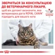 Вологий корм для котів, для підтримки сечовивідної системи Royal Canin Urinary S/O 85 г (домашній птах) - зображення 6