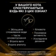 Упаковка вологого корму для котів Purina Pro Plan Veterinary Diets NF Renal Function Early Care при патології нирок, 10 × 85 г - зображення 6
