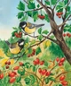 Набір книжок Ранок "Енциклопедія дошкільника: Ліс" та "Природа", українською мовою - зображення 10