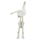 Стульчик для кормления складной Bambi M 4136-2 Ice Gray (M 4136-2) - изображение 5