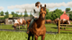 Игра Sony PlayStation 4 Farming Simulator 19 Английская Версия Б/У - изображение 5