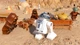 Гра консольна PS4 Lego Star Wars Skywalker Saga, BD диск - зображення 5