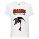 Футболка детская Как приручить дракона (DRAGONS) белая (DRAGONS-001-white) 104 см - изображение 1