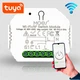 Реле Одноканальне Wi-Fi + RF Moes MS-104 - зображення 2