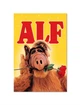 Постер плакат FNBK Альф (Alf) 60x90 см - изображение 1