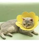 Воротник-ошейник "для заживления ран" для собак и кошек Yellow Flower Size XS - изображение 4