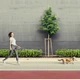 Поводок для собак WAUDOG R-leash светоотражающая лента XS-M до 40 кг 2.9 м салатовый (81275) - изображение 9