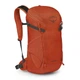 Туристический рюкзак Osprey Skarab 22 Firestarter Orange (009.3383) - изображение 1