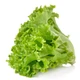 Семена Салат латук Хрустальный, 1 г (GL Seeds) - изображение 3