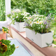Вазон Lechuza Balconera Cottage 50 Мокка - зображення 9