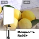 Светодиодная прямоугольная LED лампа PL26 Ra95+ Прожектор с штативом 2м Набор для блогера и визажиста фото 2 в 1 - изображение 10