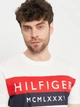 Футболка хлопковая длинная мужская Tommy Hilfiger 11041.3 S Белая - изображение 4