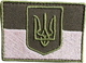 Военный шеврон Shevron.patch 9 x 7.5 см Хаки (19-568-9900) - изображение 1