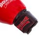 Перчатки боксерские профессиональные кожаные ФБУ BOXER (размер 12oz, Красно-черный) (BO-2001_Красно-черный_12_унц) - изображение 3