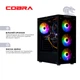 Персональный компьютер COBRA Advanced (I11F.16.H2S4.165S.A4217) - изображение 6