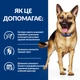 Корм Hill's Prescription Diet Canine Gastrointestinal Biome сухой для собак с заболеваниями ЖКТ 10 кг - изображение 2