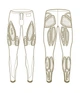 Женские компрессионные тайтсы 2XU, MCS Force Mid Rise Tights, S, синий/синий логотип - изображение 7