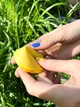 Патріотичне печиво з передбаченнями Fortune cookies (50 шт) - изображение 4