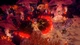 Ключ активації Cult of the Lamb: Heretic Edition для Xbox One/Series S/X - зображення 6