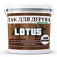 Лак акриловый для дерева LOTUS Прозрачный Полуматовый 1л - изображение 1