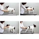 Силиконовая щетка для короткой шерсти собак и кошек Doggy Man Honey Smile L (арт. 9368) - изображение 5