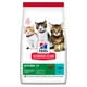 Сухой корм Hill's Science Plan Kitten для котят и кошек в период беременности и лактации, с тунцом, 300 г - изображение 1