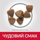 Сухой корм Hill's Science Plan Kitten для котят и кошек в период беременности и лактации, с тунцом, 300 г - изображение 4