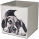 Кошик для іграшок Lacarte Dog, 27 х 27 х 28 см (pies) картонний - зображення 1