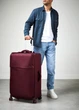 Чемодан 79 См Lipault PLUME BORDEAUX 79x46x31 P91*00004 - изображение 7