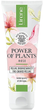 Микрогранулярный пилинг для лица - Lirene Power Of Plants Rose Microgranular Peeling 75ml (1209594-133243) - изображение 1